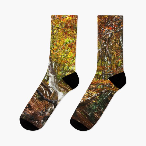 Item preview, Forest designed and sold by AHELENE.