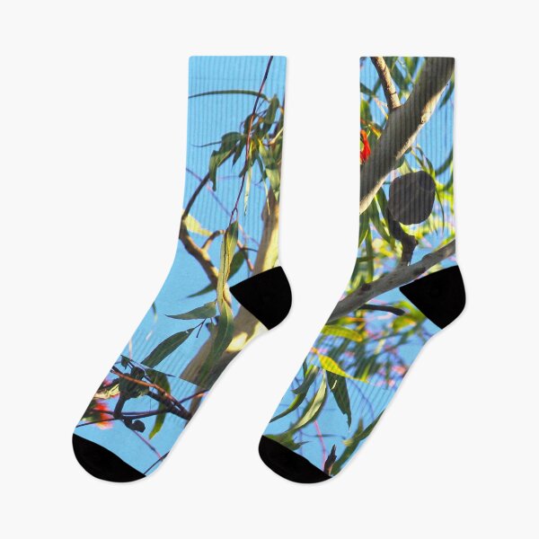 Item preview, Rainbow lorikeet designed and sold by AHELENE.