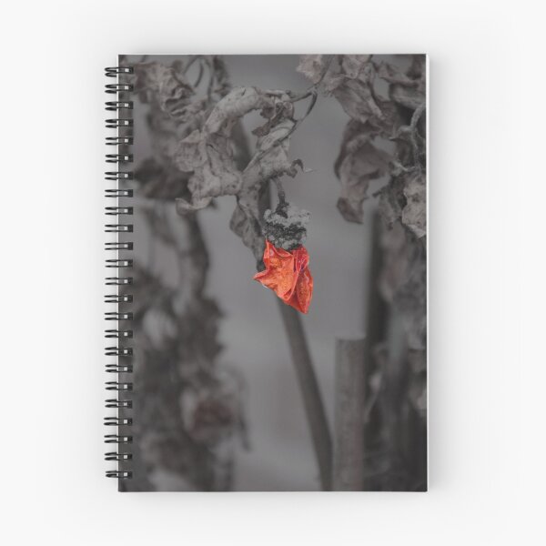 Item preview, Forgotten Tomato designed and sold by Baroen.