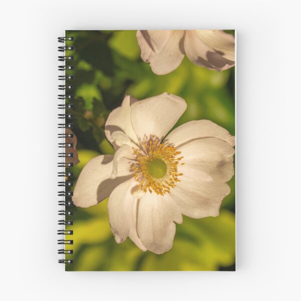 Item preview, Japanese Anemone on a Sunny Day designed and sold by SeaChangeDesign.