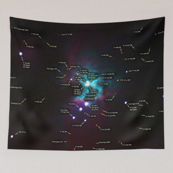 Item preview, Great Nebula in Orion Labeled designed and sold by BritishYank.