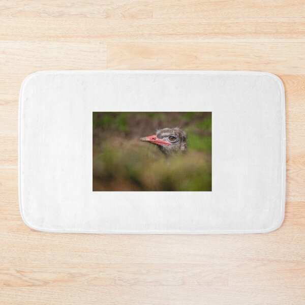 Item preview, Peek-a-Boo Ostrich designed and sold by Nigel R Bell Photography.