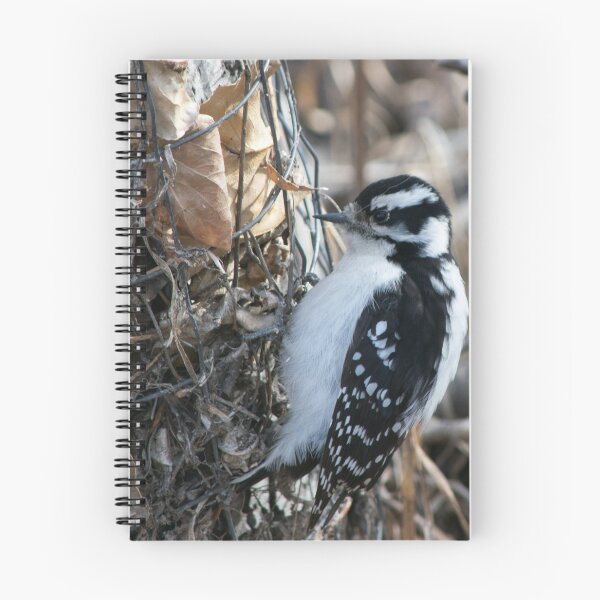 Item preview, Downy Woodpecker. designed and sold by CanadianWild418.