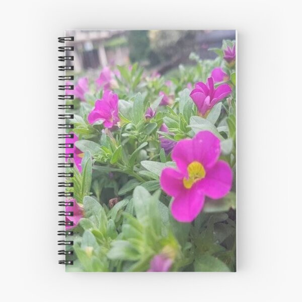 Item preview, Pink morning  designed and sold by Xokelsey.