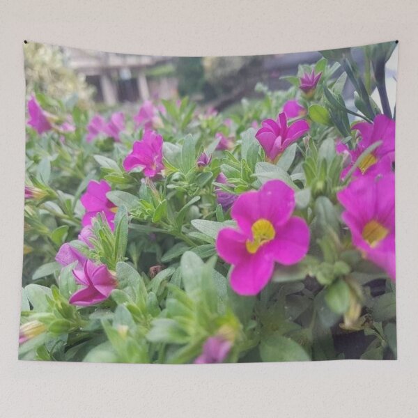 Item preview, Pink morning  designed and sold by Xokelsey.