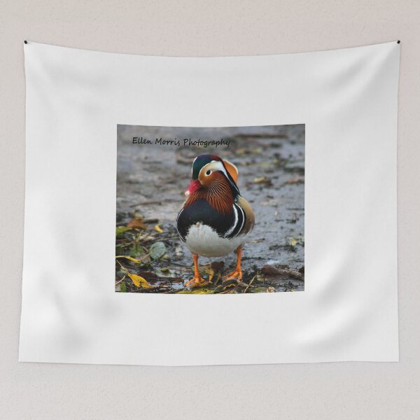 Item preview, Mandarin designed and sold by ellenmpics.