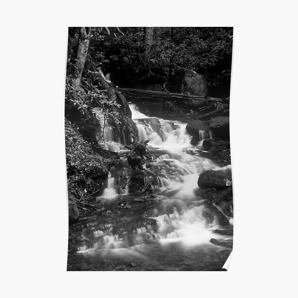 Falls in Black and White Poster