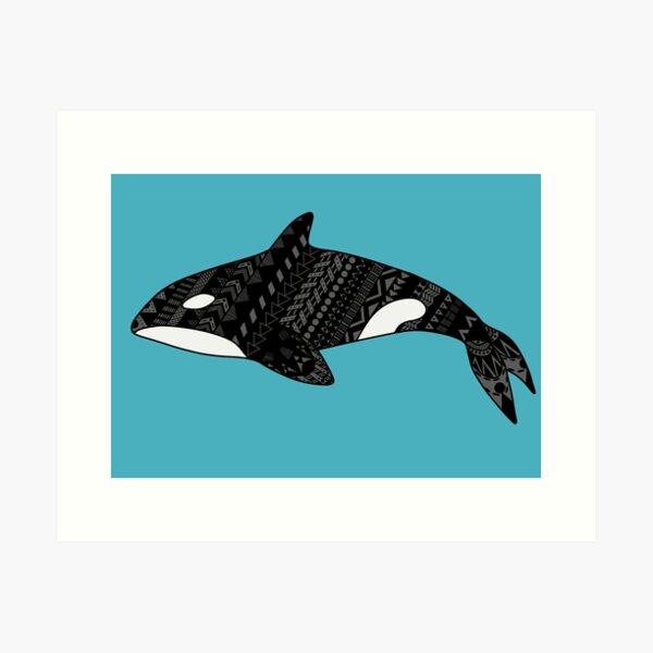 Orcinus orca, the Killer Whale Art Print