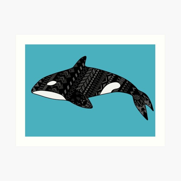 Orcinus orca, the Killer Whale Art Print