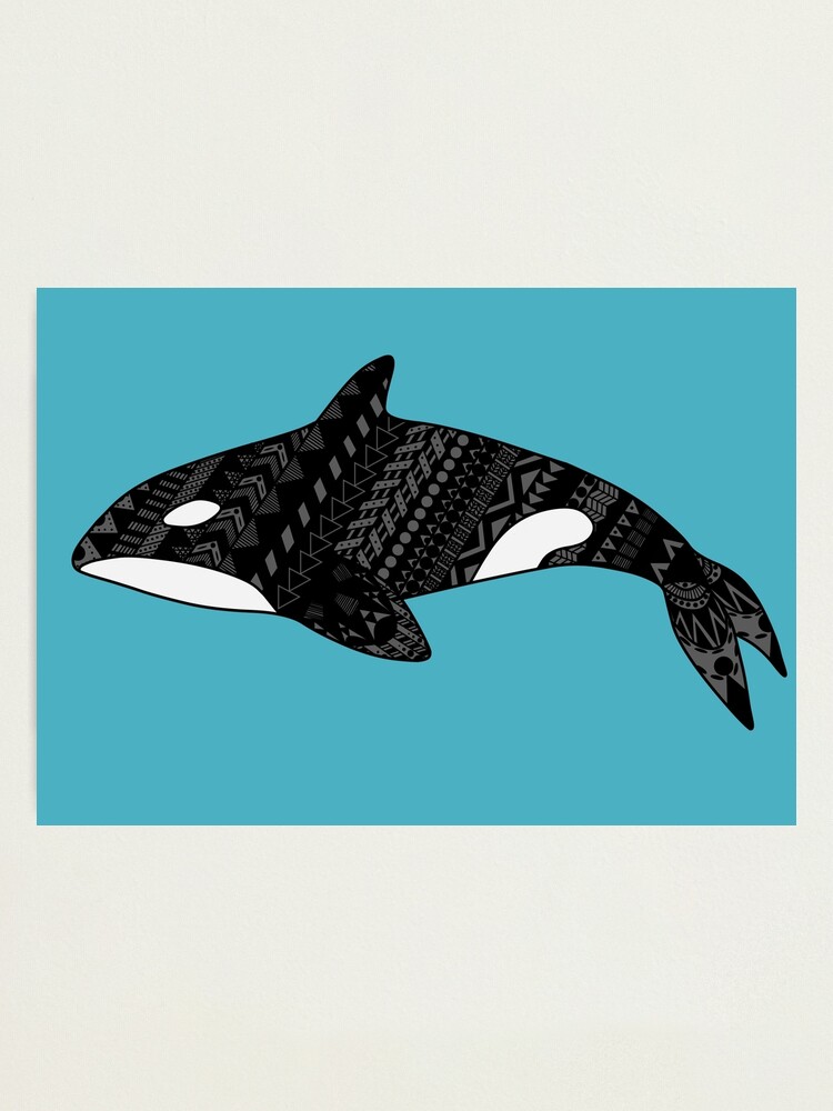 Alternate view of Orcinus orca, the Killer Whale Photographic Print
