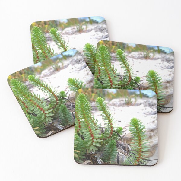 Item preview, Dune Plant Life designed and sold by NakedSunday.