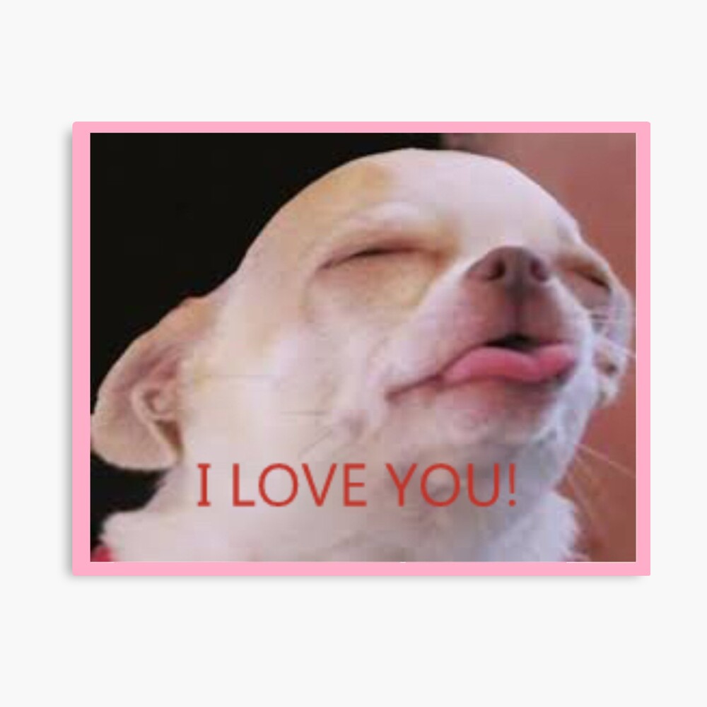 Meme Funny I Love You Dog Cute Chihuahua Small Metal Print By Stefanivanov Redbubble
