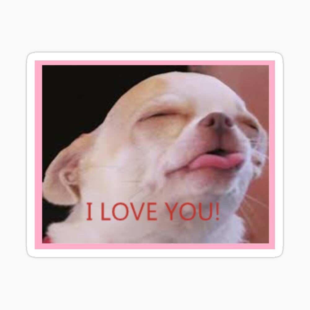 Meme Funny I Love You Dog Cute Chihuahua Small Metal Print By Stefanivanov Redbubble