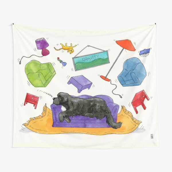 Gravity Tapestry
