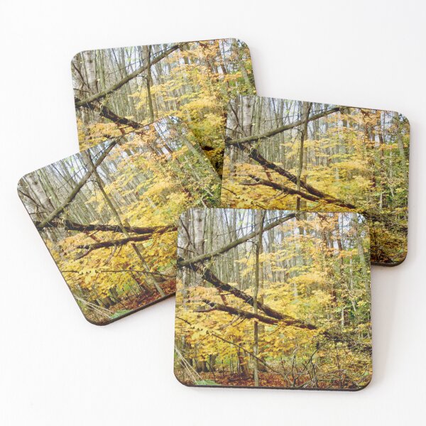 Item preview, Fallen Tree designed and sold by Shulie1.