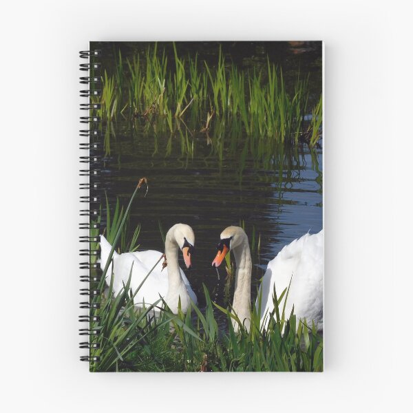 Item preview, Swans Bletchley Park designed and sold by chamby479.