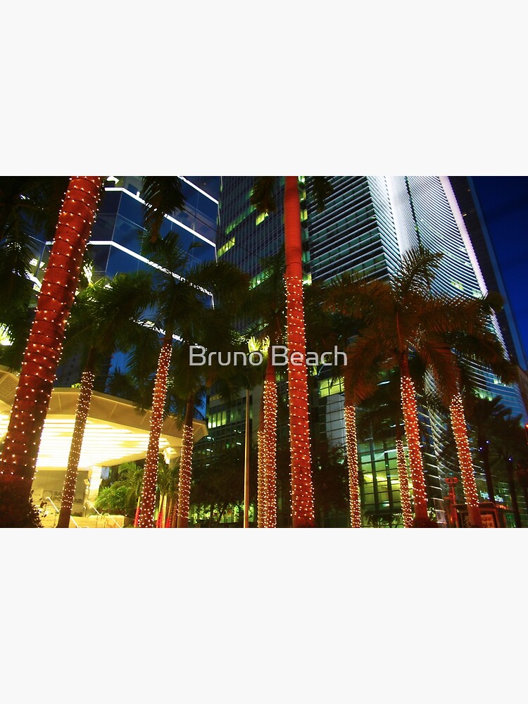 Miami Beach Skyline at Night Miami Florida Postcard 