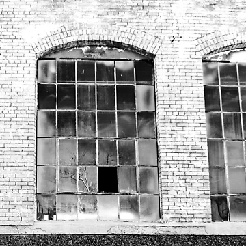 Artwork thumbnail, Window Reflection by Bob Vaughan