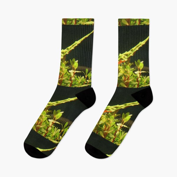 Item preview, Crypt Leaf - Aquatic Plant designed and sold by killies.