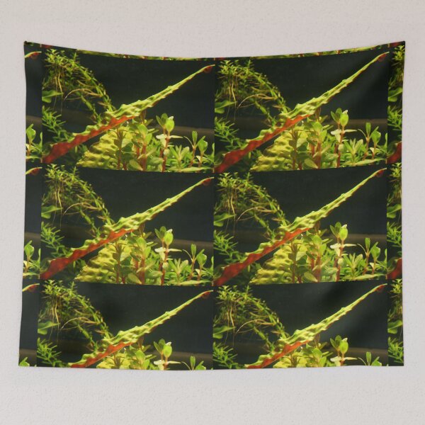 Item preview, Crypt Leaf - Aquatic Plant designed and sold by killies.