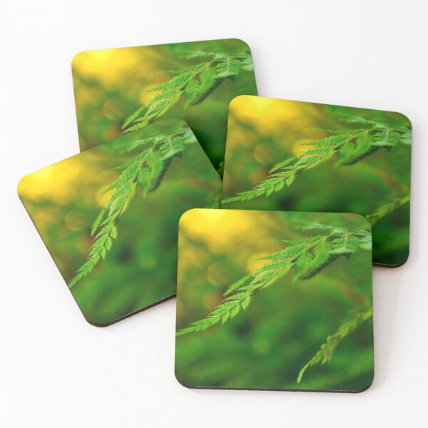 Item preview, Fern in light designed and sold by Trish409.