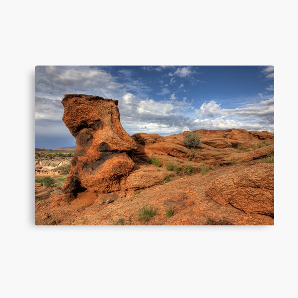 The face Canvas Print