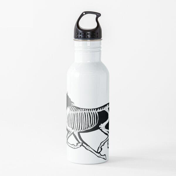 Black Transparent Xray Unicorn Skeleton: Tangelo Bg Water Bottle