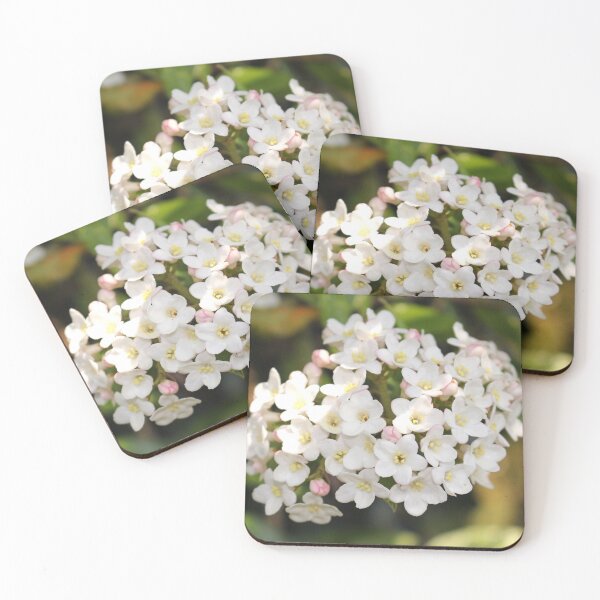 Item preview, Burkwood Viburnum designed and sold by pinkal.