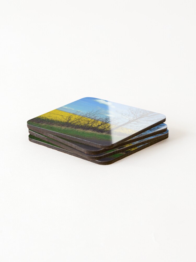 Thumbnail 4 of 5, Coasters (Set of 4), Scotland Rape fields designed and sold by chamby479.