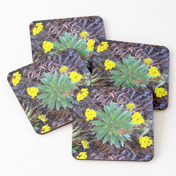 Item preview, Friend Frailejón designed and sold by Chipchaman.
