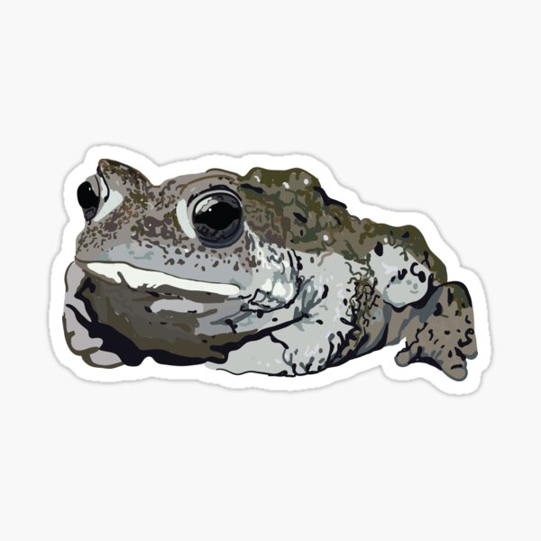 Boreal Toad Sticker