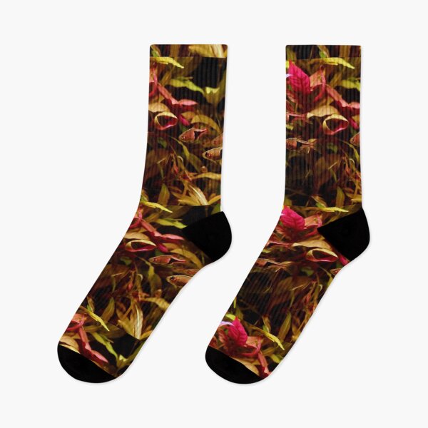 Item preview, Rasbora Fish designed and sold by killies.