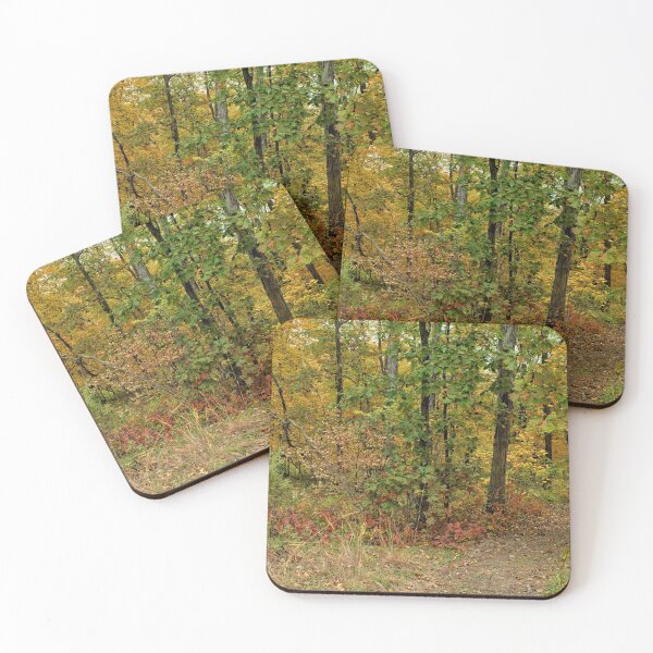 Item preview, Lacey Keosauqua Trailhead 2 designed and sold by LynyrdSky.