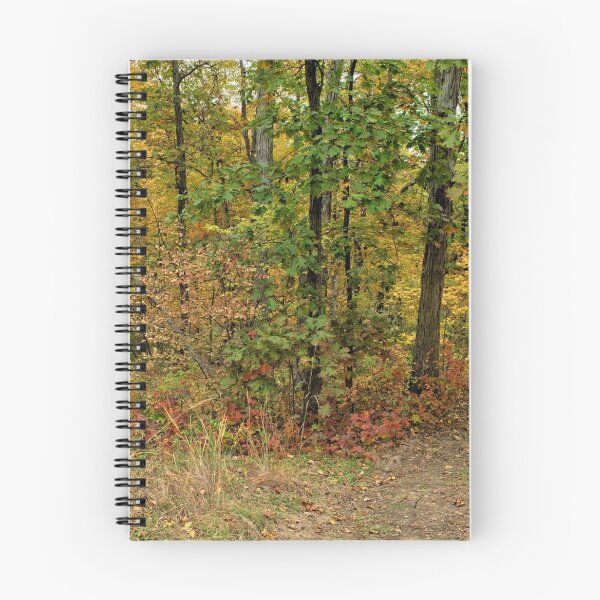 Item preview, Lacey Keosauqua Trailhead 2 designed and sold by LynyrdSky.