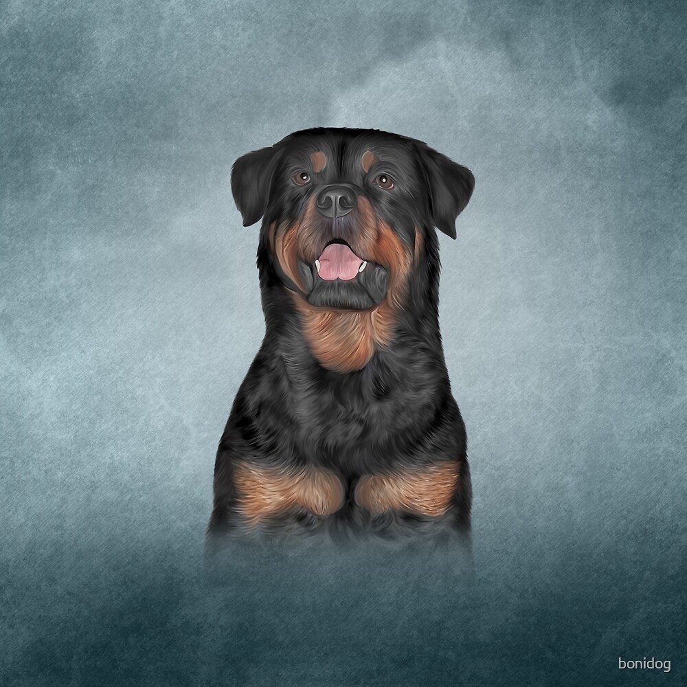 "Drawing dog rottweiler 9" by bonidog Redbubble