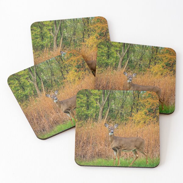 Item preview, Lake Wapello Doe designed and sold by LynyrdSky.