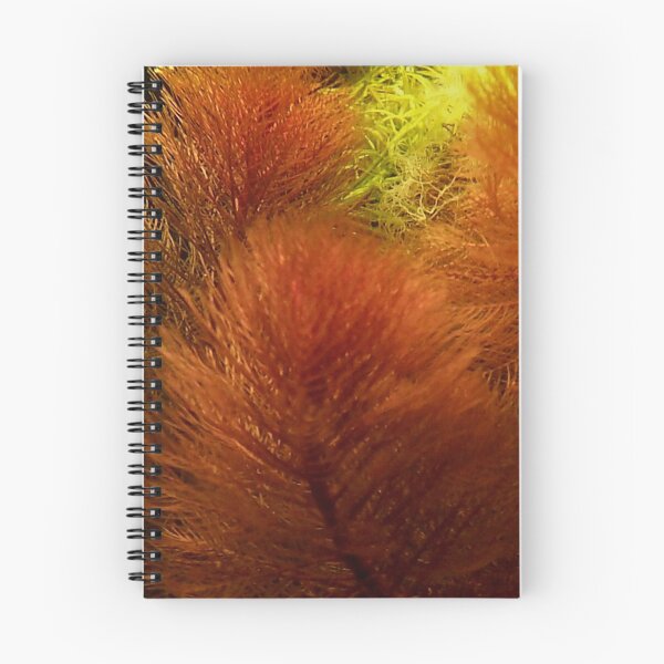 Item preview, Myrio Red Aquatic Plant designed and sold by killies.