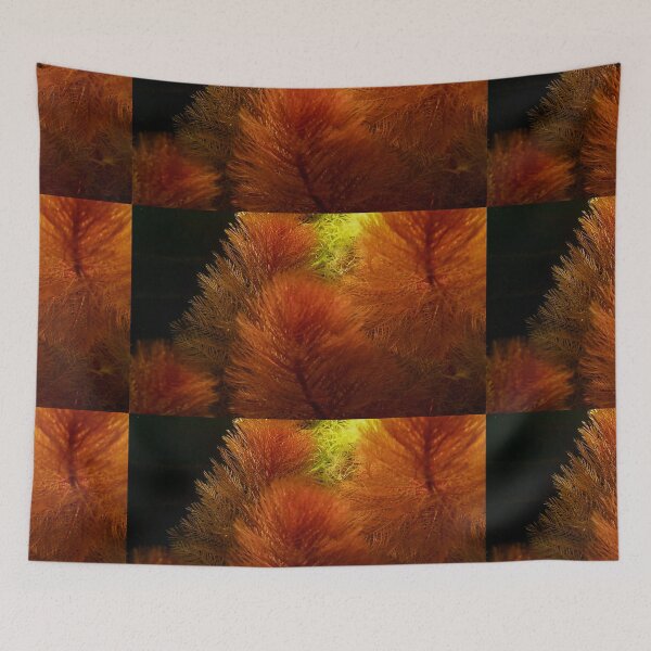 Item preview, Myrio Red Aquatic Plant designed and sold by killies.