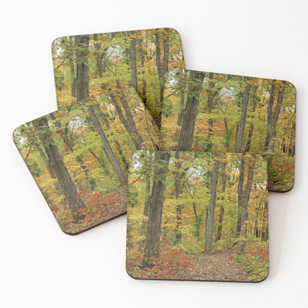 Item preview, Lacey Keosauqua State Park 2 designed and sold by LynyrdSky.
