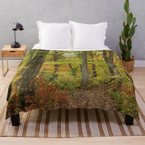 Item preview, Lacey Keosauqua State Park 2 designed and sold by LynyrdSky.