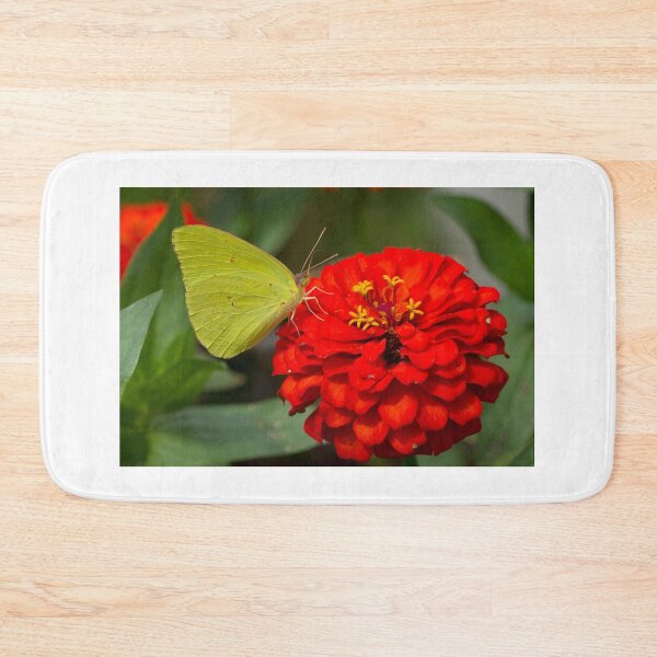 Item preview, Clouded Sulphur on Red Zinnia designed and sold by Brenda Burnett.