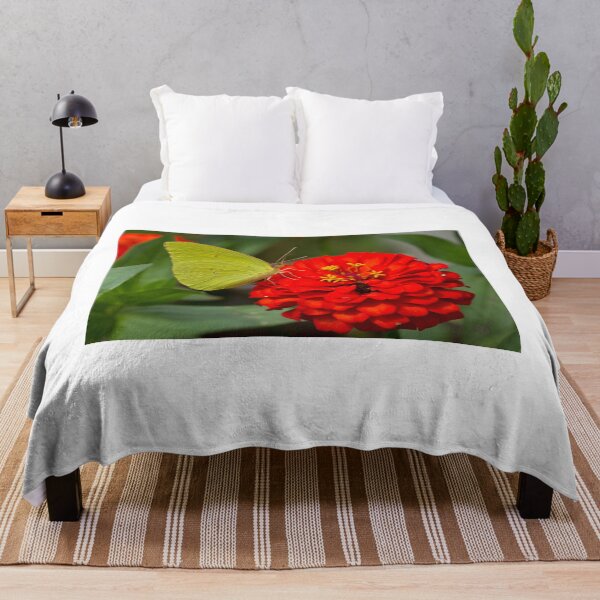 Item preview, Clouded Sulphur on Red Zinnia designed and sold by Brenda Burnett.