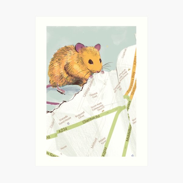 Mouse Map Art Print