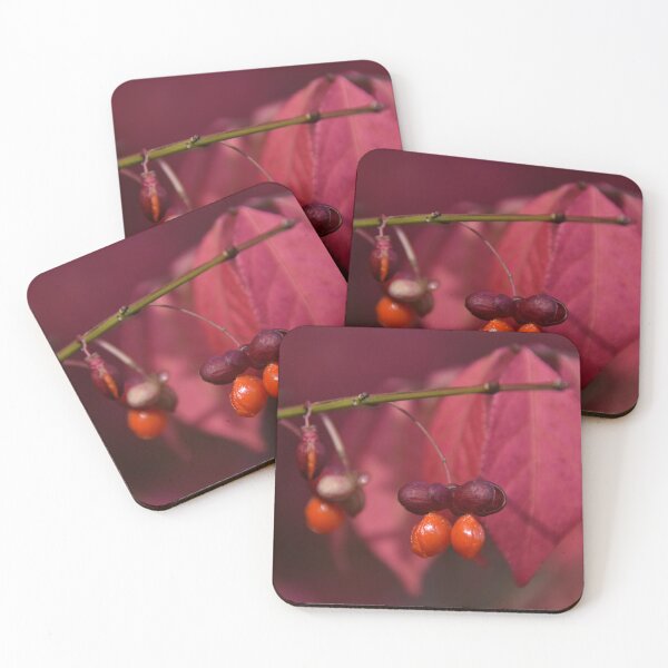 Item preview, Burning Bush Berries..... designed and sold by Poete100.