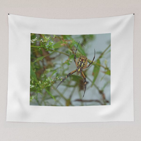Item preview, Garden Spider in Web designed and sold by Brenda Burnett.