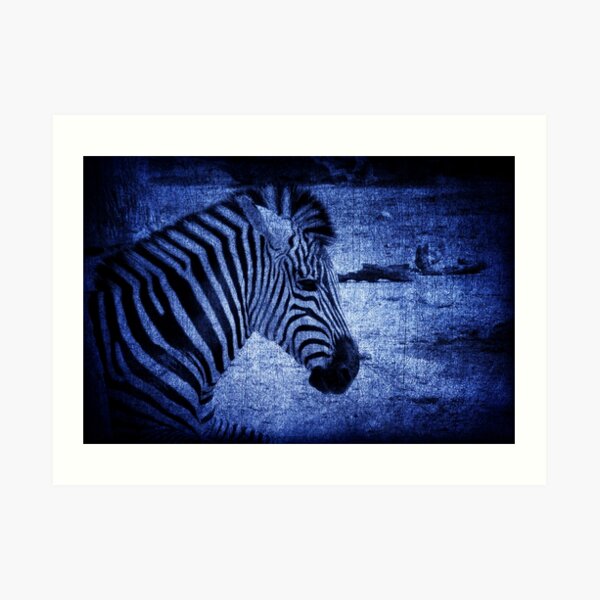 In A Blue Funk Art Print