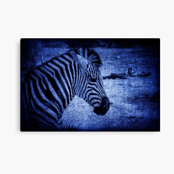 In A Blue Funk Canvas Print