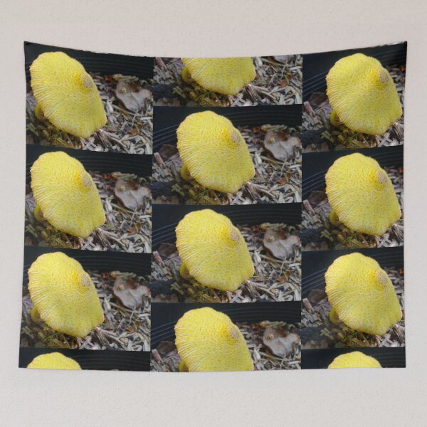 Item preview, Majic Lantern-Glowing Lovely,  designed and sold by MardiGCalero.