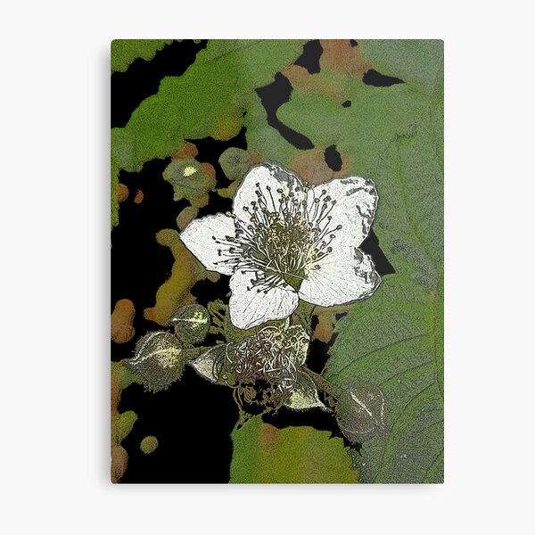 Posterized Bramble Blossom Metal Print