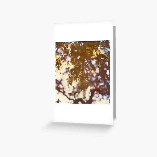 Item preview, Nothing else matters designed and sold by J. M. Golding.